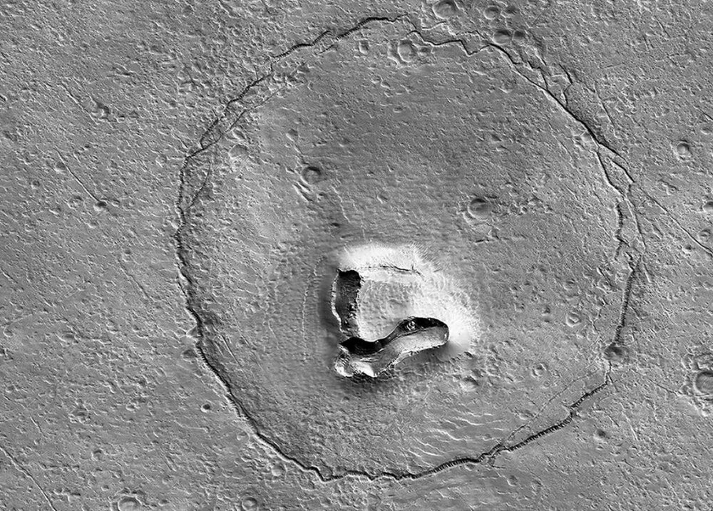 کشف یک خرس در مریخ