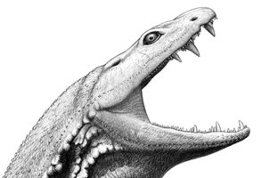 (تصویر) بازسازی چهره هولناک یک هیولای 330 میلیون ساله