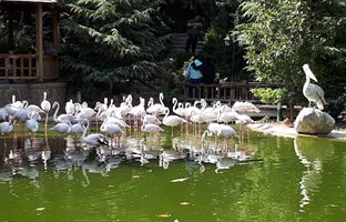 خاص‌ترین پارک‌های تهران که شما را به دنیای تخیلات می‌برد