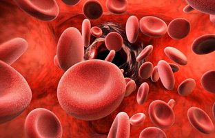 چرا اکثر افراد کم خونی دارند و آیا کشنده است؟ درمان های طبیعی و فوری برای انوع کم خونی