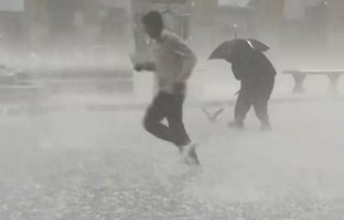  (ویدئو) بارش شدید تگرگ در حرم امام رضا(ع) و تلاش برای نجات کبوتر‌ها