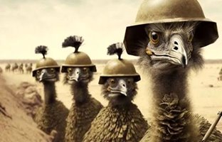 آبروریزی ارتش استرالیا در نبرد تاریخی با شتر مرغ ها